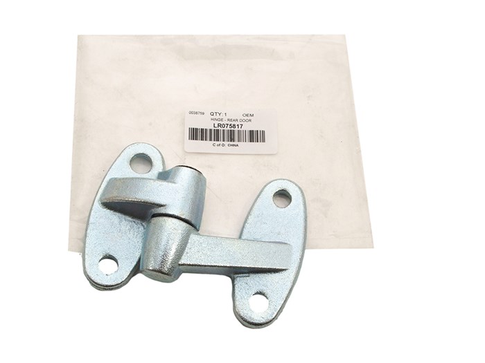HINGE - REAR DOOR