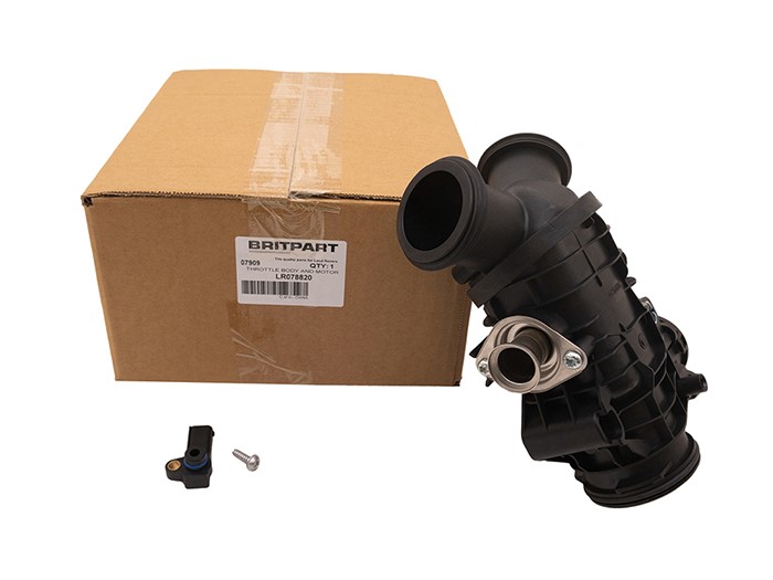 THROTTLE BODY AND MOTOR