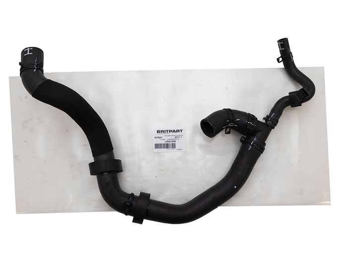 HOSE - THERMOSTAT