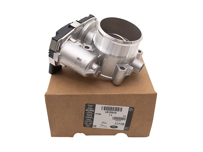 THROTTLE BODY AND MOTOR