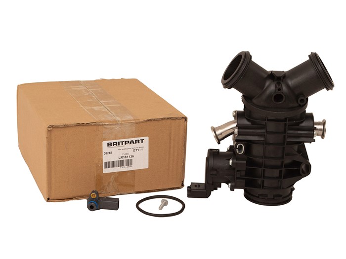 THROTTLE BODY AND MOTOR