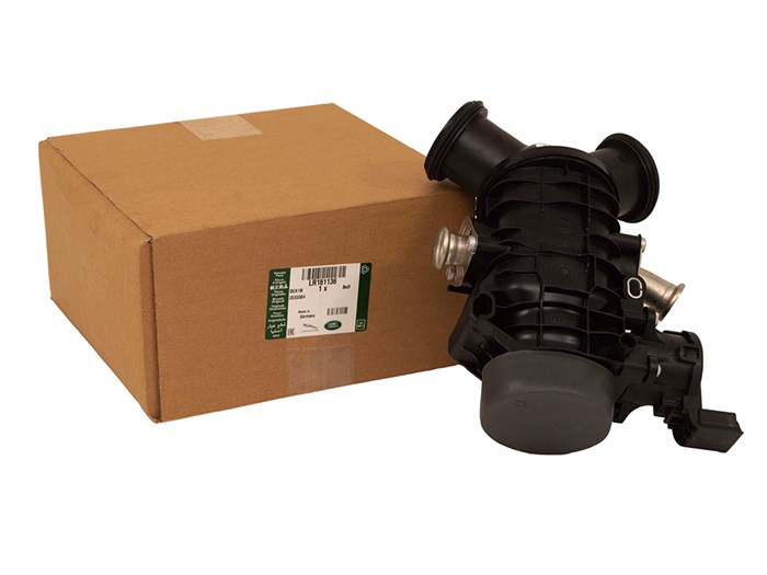 THROTTLE BODY AND MOTOR