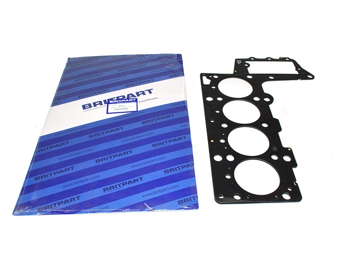 GASKET-CYLINDER HEAD