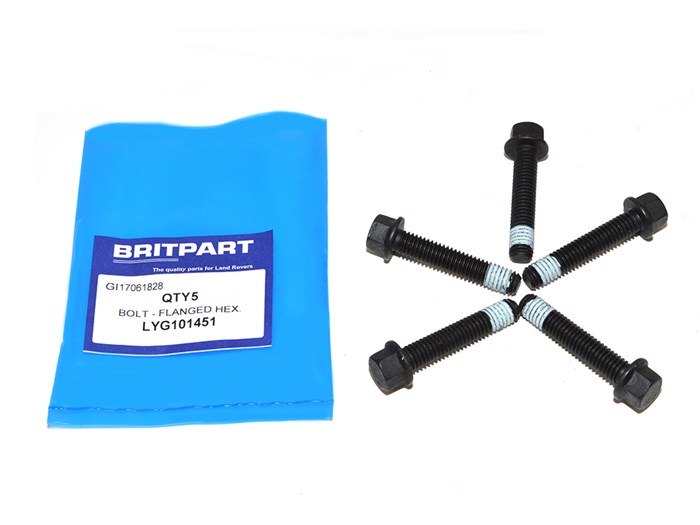 BOLT - FLANGED HEX