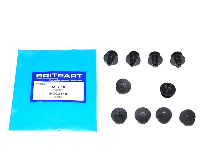 RIVET