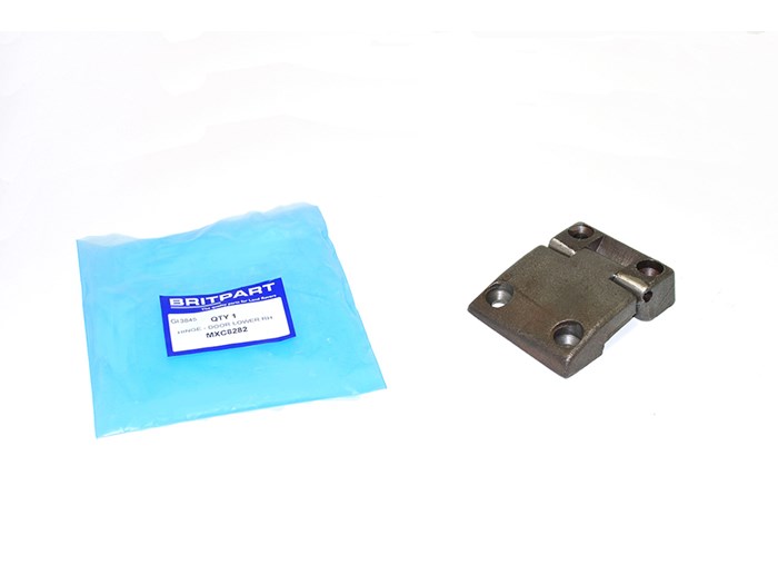 HINGE - DOOR LOWER RH
