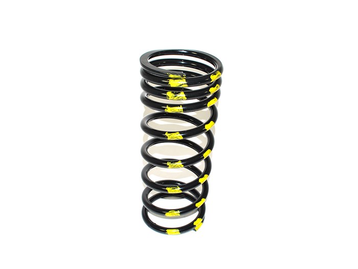 SPRING - COIL N/S FRONT 110