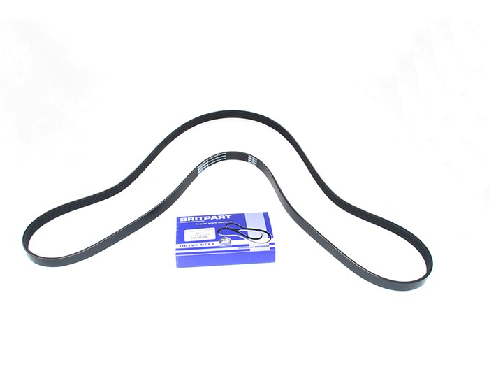 BELT-POLYVEE