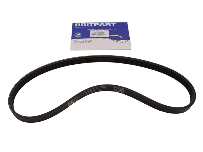 BELT-POLYVEE