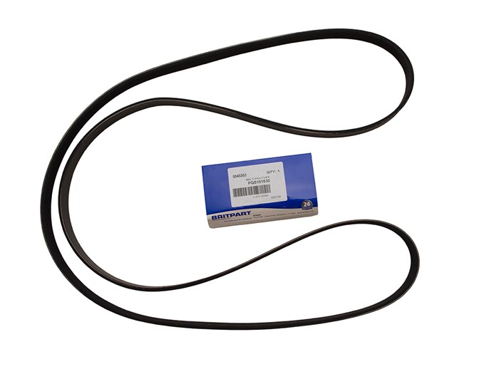 BELT-POLYVEE