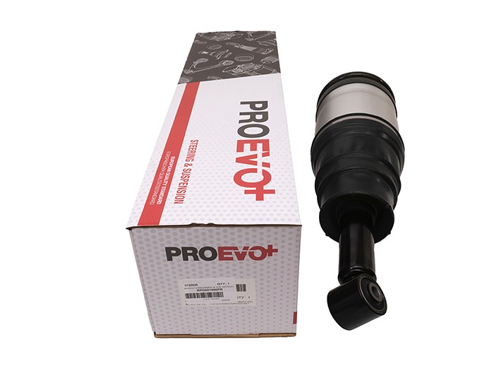 SHOCK ABSORBER & AIR SPRING