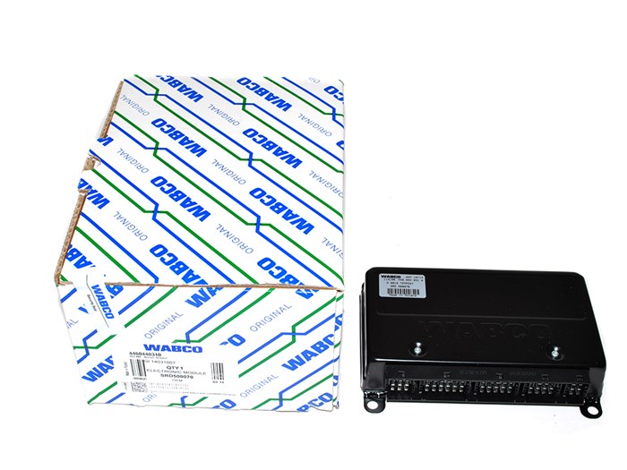 ELECTRONIC MODULE