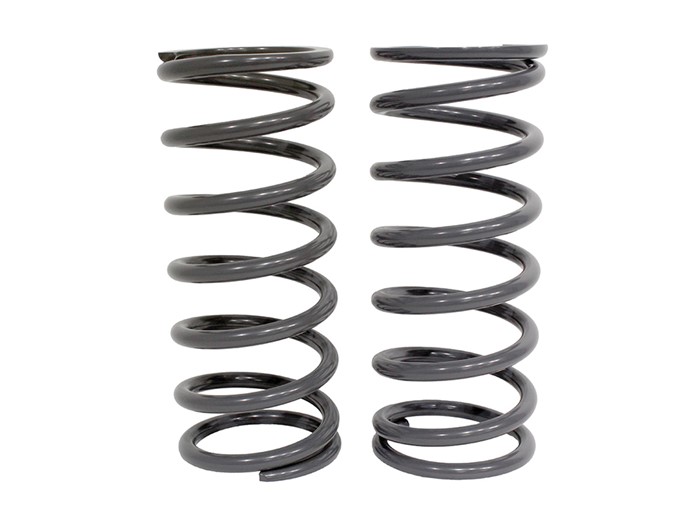 TERRAFIRMA 1in LOWERED REAR SPRINGS (PAIR) DEF 90